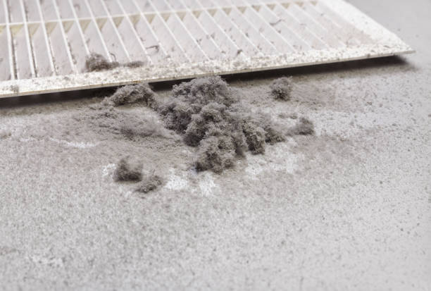 Best Air Duct Cleaning Company Near Me  in Iva, SC