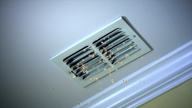 Professional Airduct Cleaning in SC