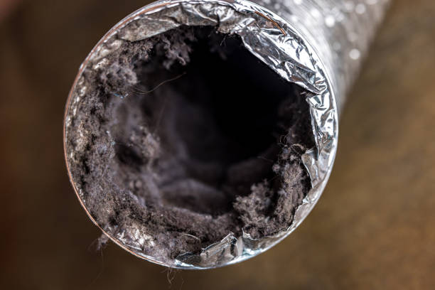Best HVAC Air Duct Cleaning  in Iva, SC